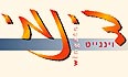דינמי וינגייט לוגו