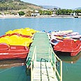 צילום: אלעד גרשגורן