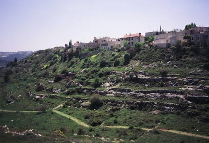 נחל חלילים (צילום: דבורה וולינץ, החברה להגנת הטבע) נחל חלילים (צילום: דבורה וולינץ, החברה להגנת הטבע)