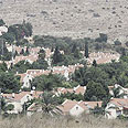 צילום: גיל לרנר