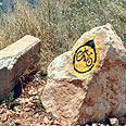 צילום: רונית סבירסקי