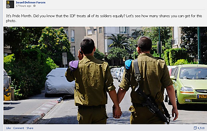 IDF Gay Pride Month Facebook post 