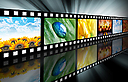 Photo: Shutterstock