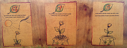 (צילום: שירה דושי) (צילום: שירה דושי)