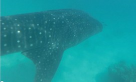 צילום: אילן פרידלנד