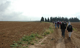 צילום: עודד חכים