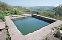 הכי מרענן (צילום: עדי אדר)