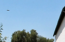 העב"ם