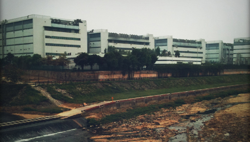 צילום באדיבות ערוץ 8