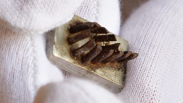 Metal stamp with embedded needles (Photo: EPA)