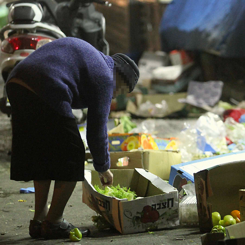 The citizen is at the bottom of the food chain (Photo: Ido Erez)