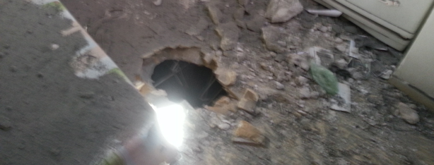 (צילום: בראל אפרים)