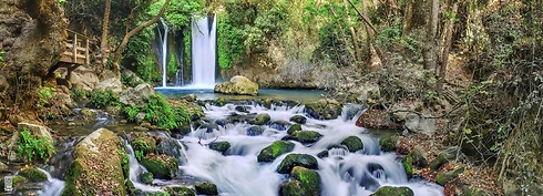 The Banias natural spring at the foot of Mount Hermon (Photo: Ittay Bodell)