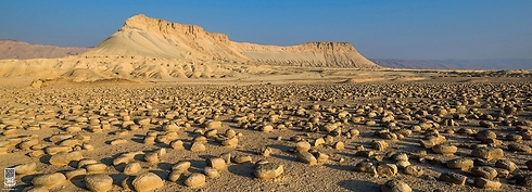 Field of potato shaped rocks at the foot of Mount Zin (Photo: Ittay Bodell)