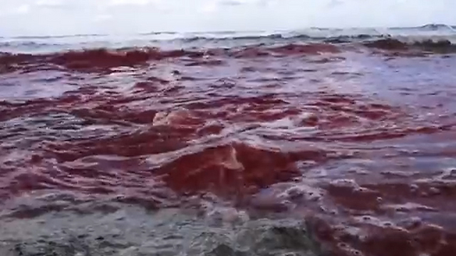 מי הים אדומים מדם אחרי ההוצאה להורג ()