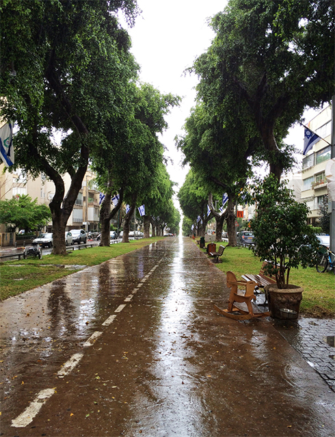 Rain on Tel Aviv's Ben Zion Boulevard (Photo: Shahar Yalov)