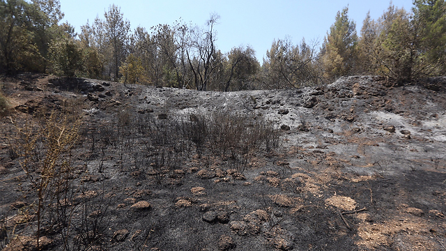 Beit Shemesh area fire leaves 1,500 dunams scorched