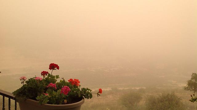 Thick haze (Photo: Elior Levy)