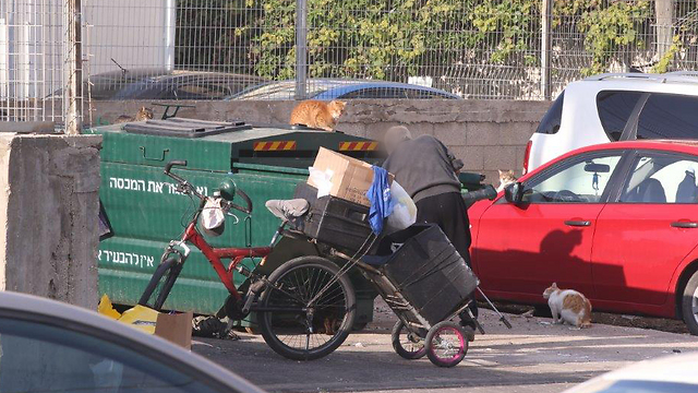 Israeli looks in a dumpster (Photo: Motti Kimchi)