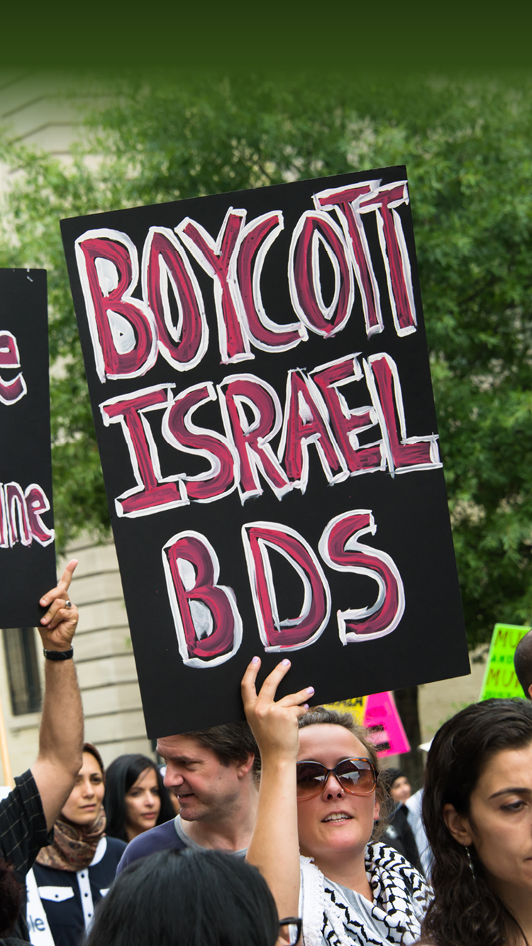 Protestors raise pro-BDS posters