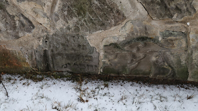 An Israeli searching for the graves of his relatives in Poland discovered that the tombstones had been added to a wall in Ostrowiec (Photo: Courtesy of Meir Bolka)