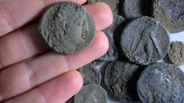 A coin of Antioch VII with others found at the site (Photo: Clara Amit)
