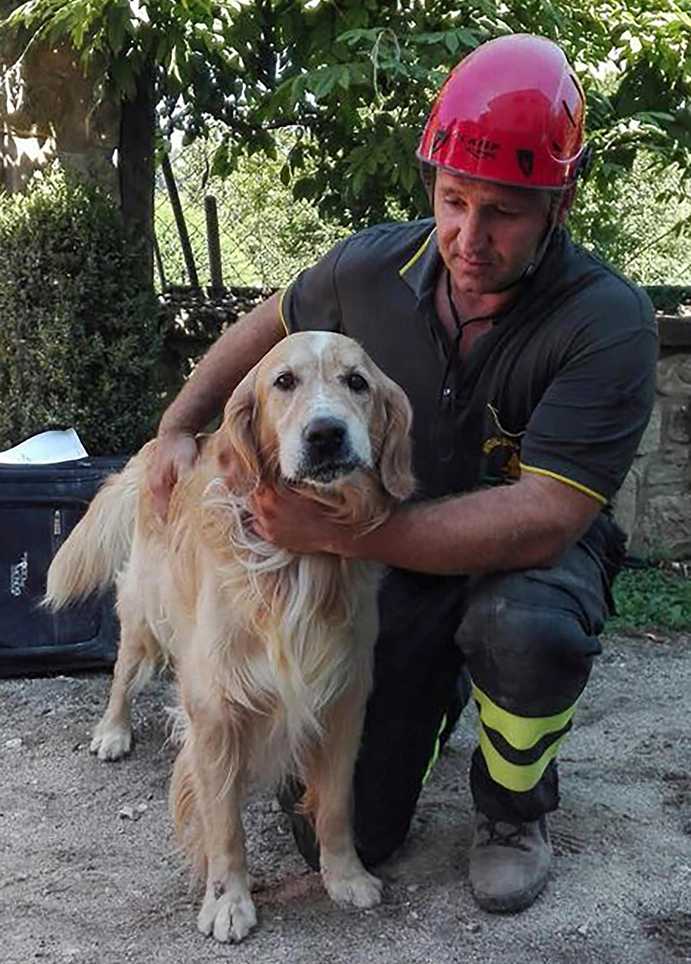 Romeo with a firefighting rescuer (Photo: EPA)