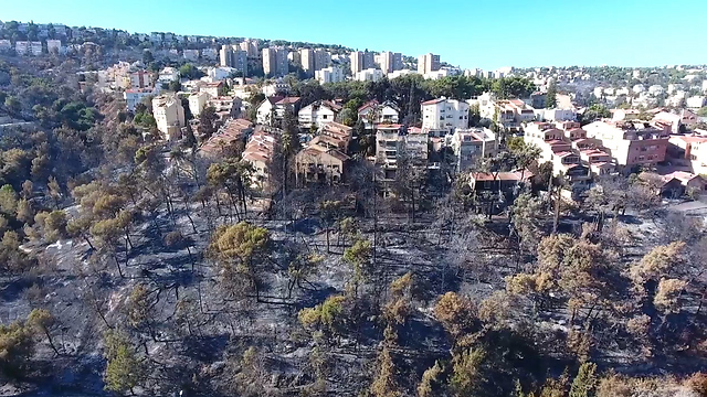 Drone footage of damage in Haifa (Photo: Ilan Barsheshet) (Photo: Ilan Barsheshet)