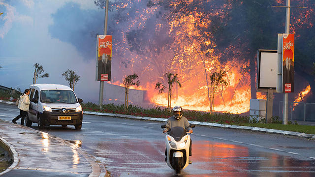 Fire in Haifa (Photo: AFP) (Photo: AFP)