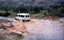 צילום: דובי זכאי צילום: דובי זכאי