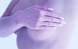 צילום: סי די בנק צילום: סי די בנק