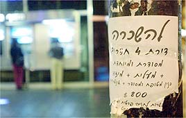 צילום: טל כהן צילום: טל כהן