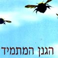 מרתק לא פחות מקודמיו