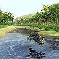 Comanche 4