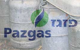 פזגז: עוד חברה קטנה אחת 