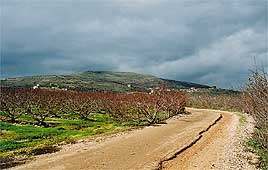 צילום דובי זכאי צילום דובי זכאי
