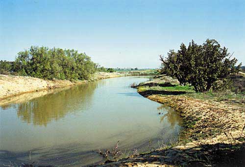 מעברה השני של הסוללה יש לגונה נהדרת, די גדולה ונסתרת