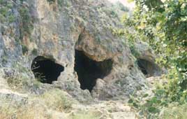 צילום לביא ארצי החברה להגנת הטבע צילום לביא ארצי החברה להגנת הטבע