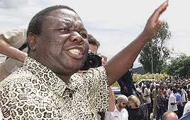 צילום: רויטרס צילום: רויטרס