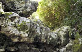 צילום: רוני שיצר צילום: רוני שיצר