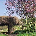 במקומות רבים נוהגים לצאת לחיק הטבע כדי להתבונן סביב