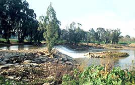 צילום דפנה מרוז, החברה להגנת הטבע צילום דפנה מרוז, החברה להגנת הטבע