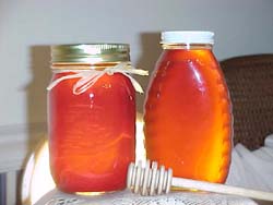 חדשות בכוורת