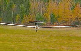 אילוסטרציה