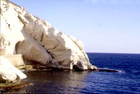 צילום:לביא ארצי,החברה להגנת הטבע צילום:לביא ארצי,החברה להגנת הטבע