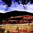 הר מירון. אחרי הטיפוס לפסגתו נותרת תיאורטית רק ירידה