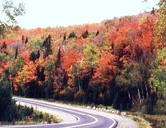 טבע פראי ונוף דרמטי