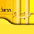 שותפה בגוונים פיננסיים