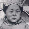 תצלום מהספר dalai lama my son