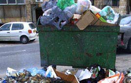 צילום גלי תיבון צילום גלי תיבון